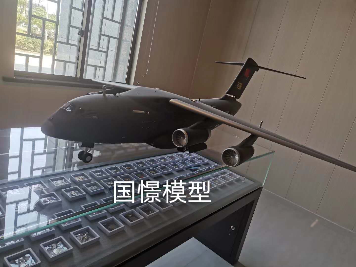 天台县飞机模型