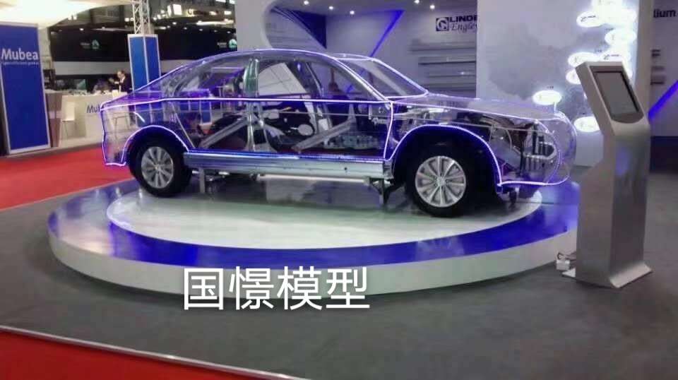 天台县透明车模型
